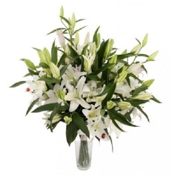 Majorca - Bouquet of Lilies