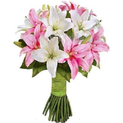 Pleasure - Bouquet of Lilies