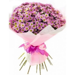 Zemfira - Bouquet of Pink...