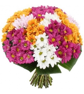 Букет из разноцветных хризантем „Радуга“