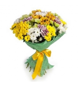 Celebration - Bouquet of Colorful Chrysanthemums