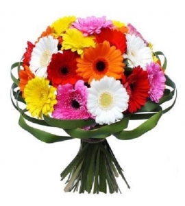 Aelita - Bouquet of Gerbera Flowers
