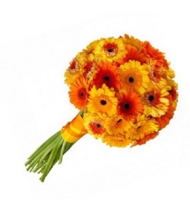 Golden Month - Bouquet of Gerberas
