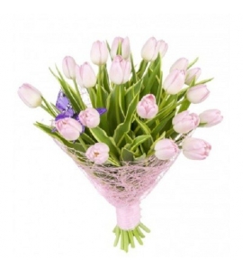 ვარდისფერი ტიტების თაიგული , F0502 , ყვავილი , ყვავილები