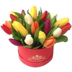 Bouquet of tulips „Spring...
