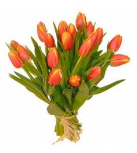 Bouquet of tulips „Dolce Vita“ F0511