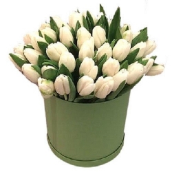 Белые тюльпаны в коробке...