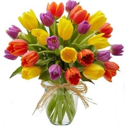 Bouquet of tulips...