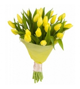 ყვითელი ტიტების თაიგული საზაფხულო განწყობა,  F0519 , ყვავილი , ყვავილები