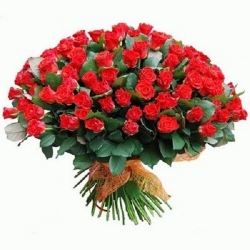 Magic - Bouquet of Roses
