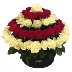 Devotion - Bouquet of Roses