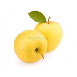 1 კგ. ვაშლი გოლდენი, ყვითელი