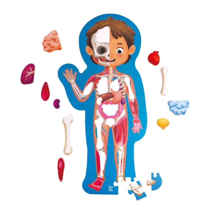 Hape HUMAN BODY PUZZLE ადამიანის სხეულის თავსატეხი